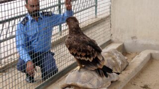 Karachi Safari Park