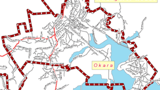 Okara