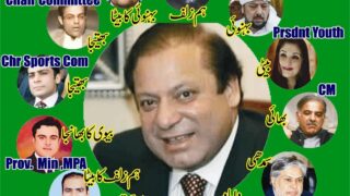 PML N - Family