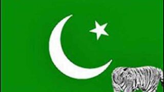 PML N