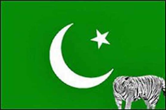 PML N