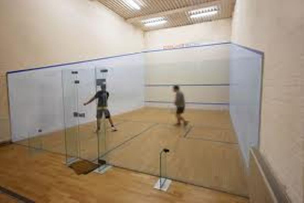 ایشین اسکواش چیمپیئن شپ : بھارت کی ایونٹ میں شرکت کی تصدیق