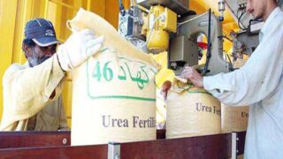Urea