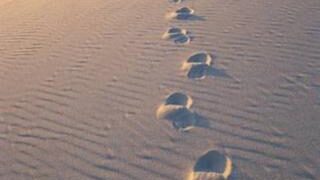 desert foot prints