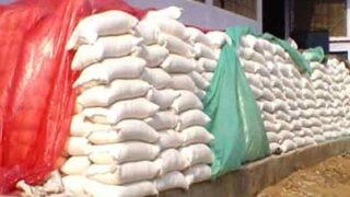 flour price