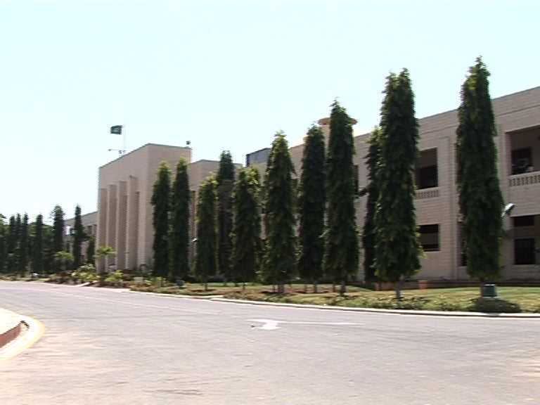 بیماری سے صرف 38مور ہلاک ہوئے،صوبائی وزیر کا دعویٰ