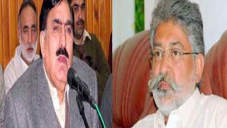 ANP and PML-Functional