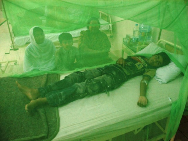 Dengue virus