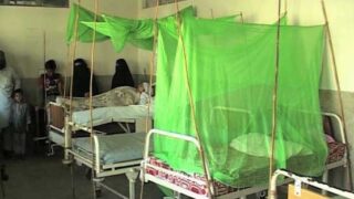 Karachi Dengue
