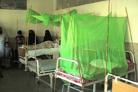 Karachi Dengue