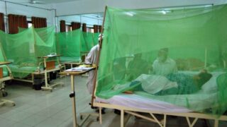 dengue cases