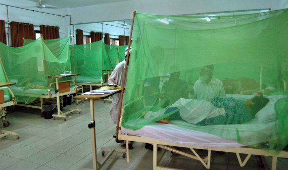 dengue cases