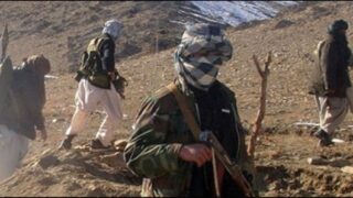 haqqani