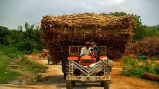 price of sugarcane
