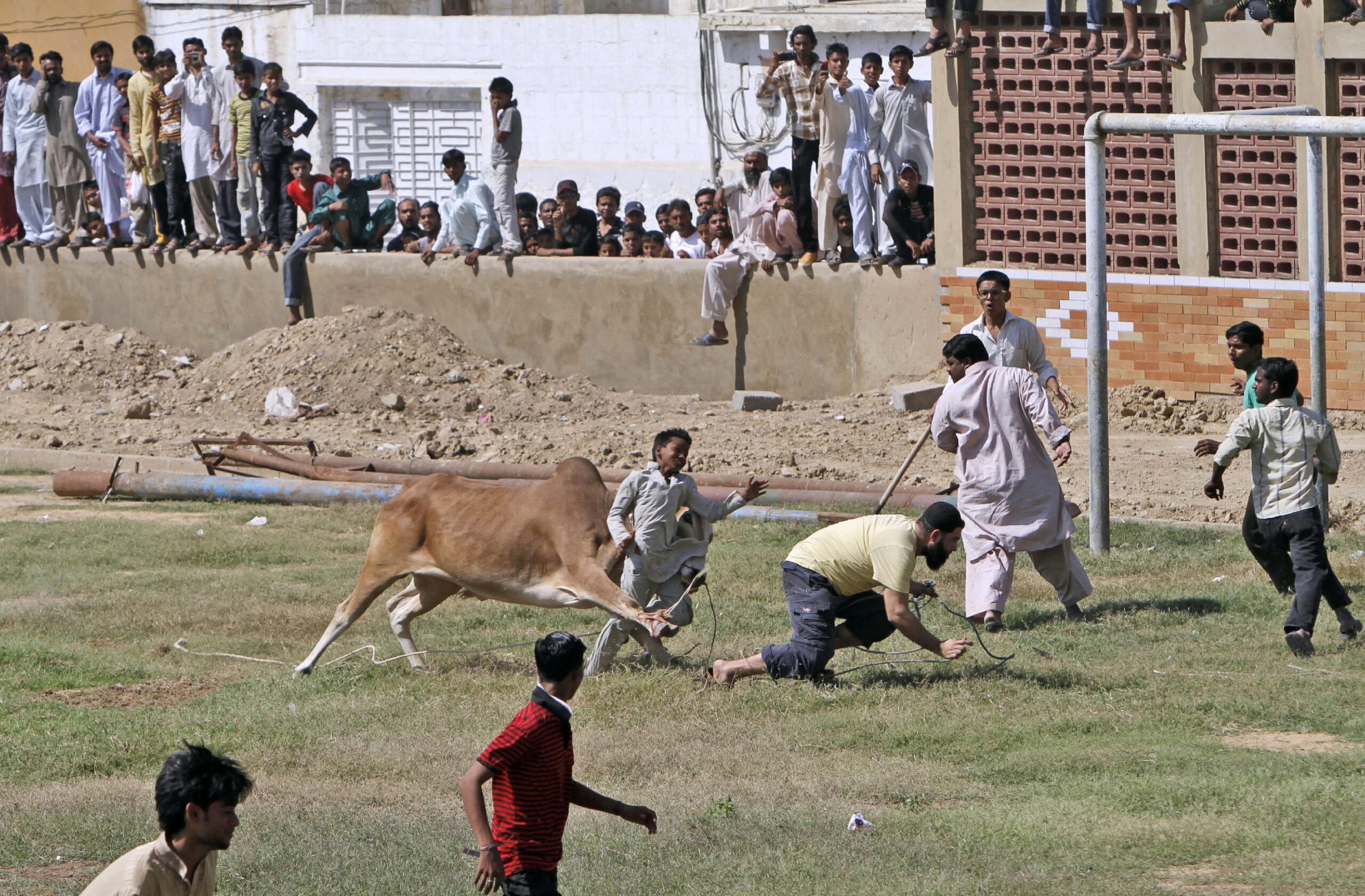 A bull attacks a boy - Karachi Pakistan