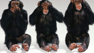 Say No Truth! - See No Truth! - Hear No Truth!