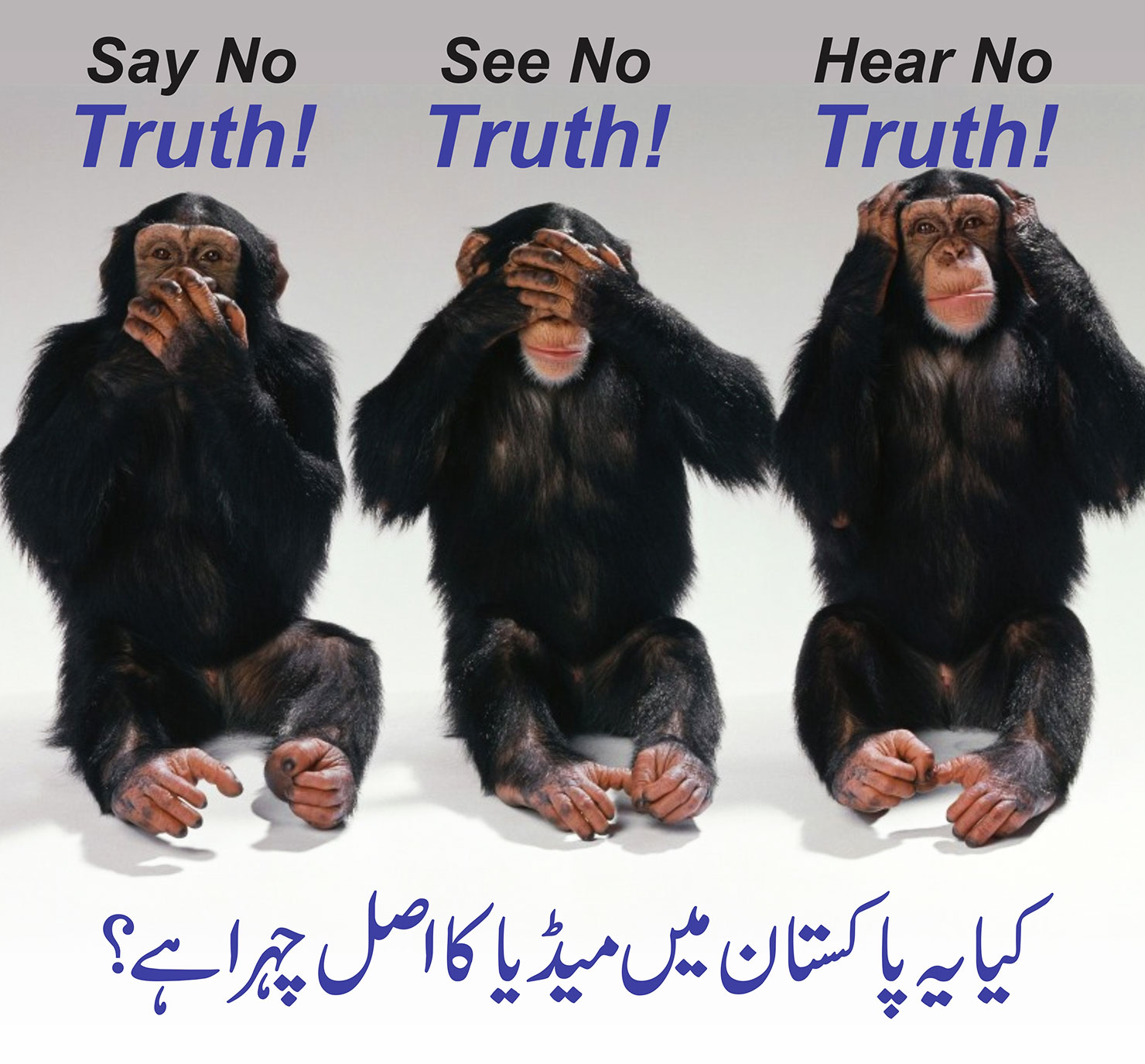 Say No Truth! - See No Truth! - Hear No Truth!