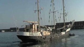 Italy Boat Ghaza