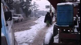 Kashmir Cold