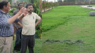 NISHAT ZIA QADRI