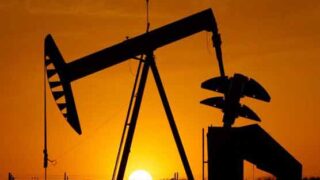 Oil