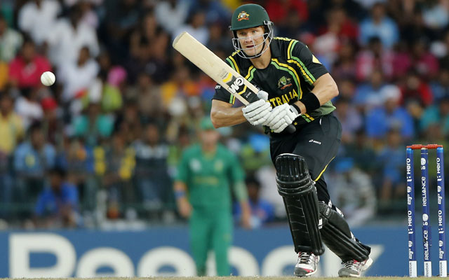 چارمیچ ، چار ایوارڈ ، شین واٹسن ورلڈ ٹی ٹوئنٹی کے ڈینجر مین