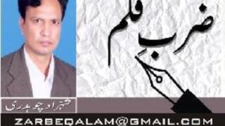 Shehzad chaudhry
