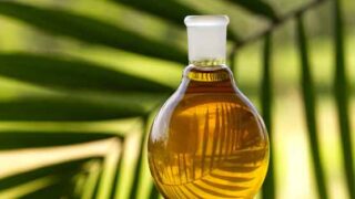 Vegetable Oil