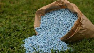 urea