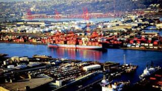 Export Market