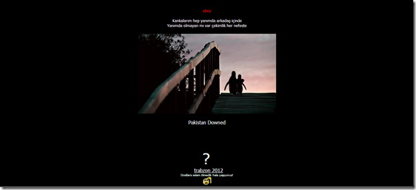 ہیکرز نے گوگل اور دوسری 300 سے زیادہ پاکستان میں چلنے والی غیر ملکی ویب سائٹس ہیک کرلی