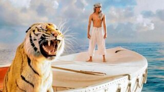 Hollywood Life Of Pi