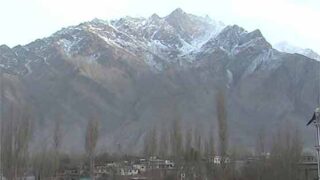 Pakistan Cold