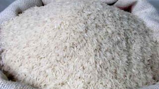 Rice Exports