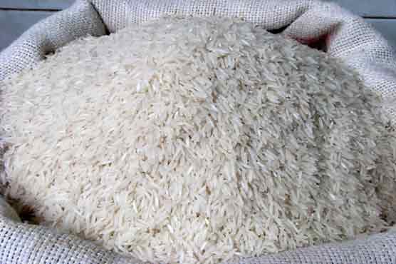 Rice Exports