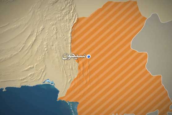 سیہون شریف : کار کھائی میں گرنے سے 8 افراد جاں بحق