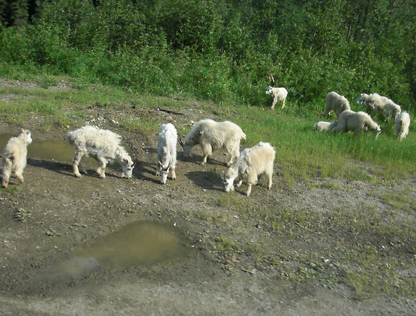 سب کا پالنہار ہے مولا