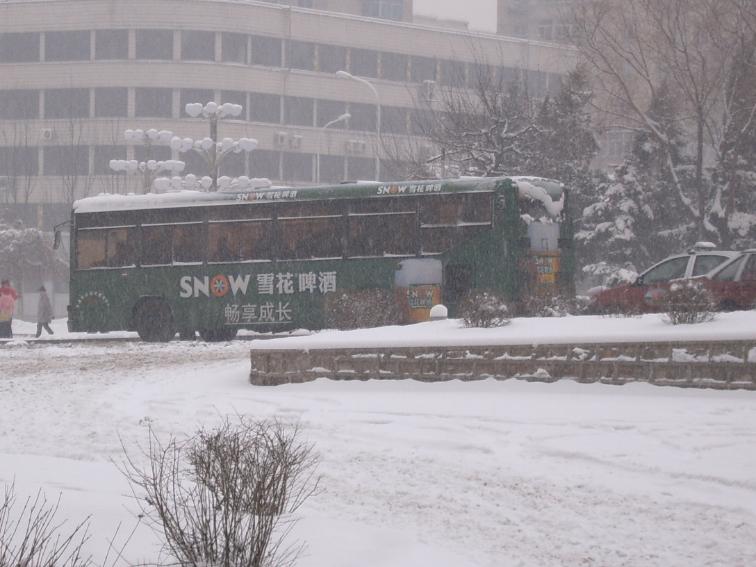 China Snow Falling