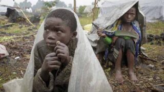 Congo Rain