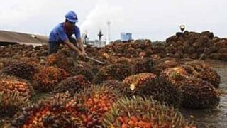 Indonesia