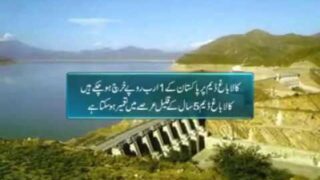 Kala Bagh Dam