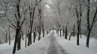 Kazakhstan Winter