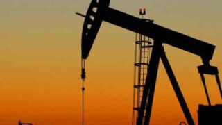 Oil