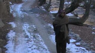 Pakistan Cold