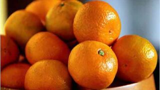 Pakistani Orange