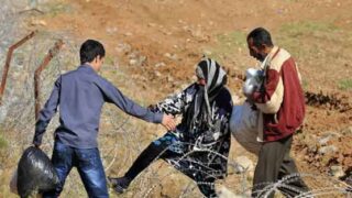 Syrians Refugee