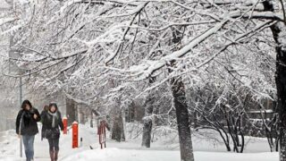 Ukarine Snow Falling
