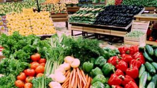 Vegetable