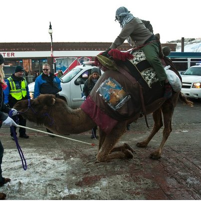 امریکا : فلم فیسٹول میں اونٹ لے کر آنے والے فلم ڈائریکٹر کا چالان