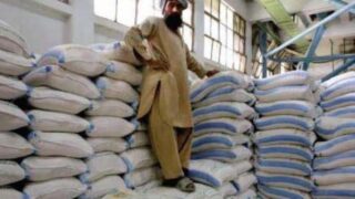 Flour Prices